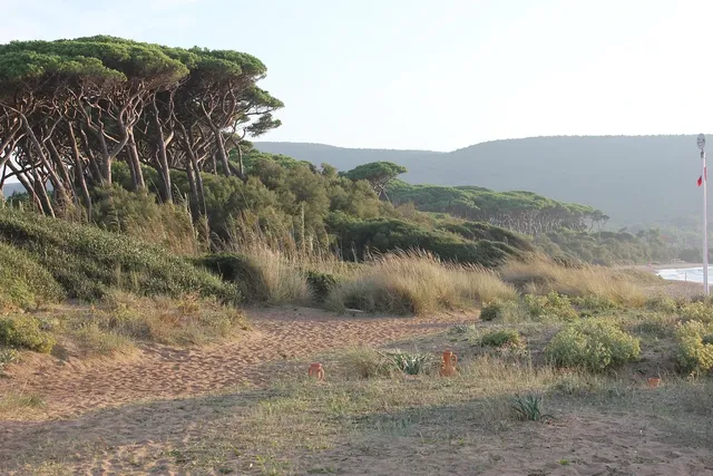 Eventi e vacanze alle pontine su Pershing 46