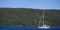 Schermata 2020-06-23 alle 17.41.50